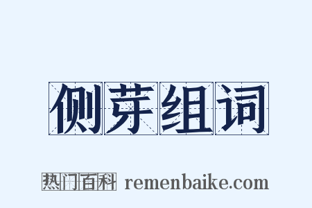 侧芽组词是什么意思的图片